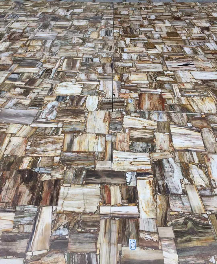 2I petrified wood slab
