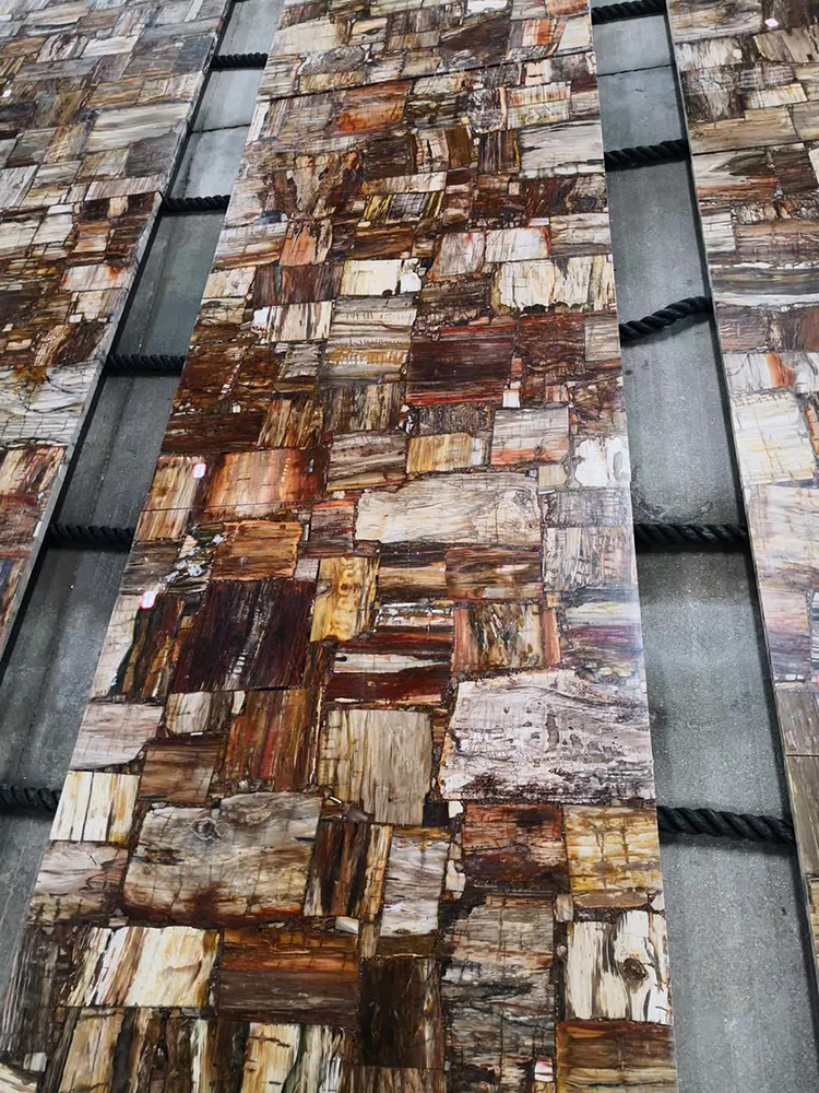 4I petrified wood slab