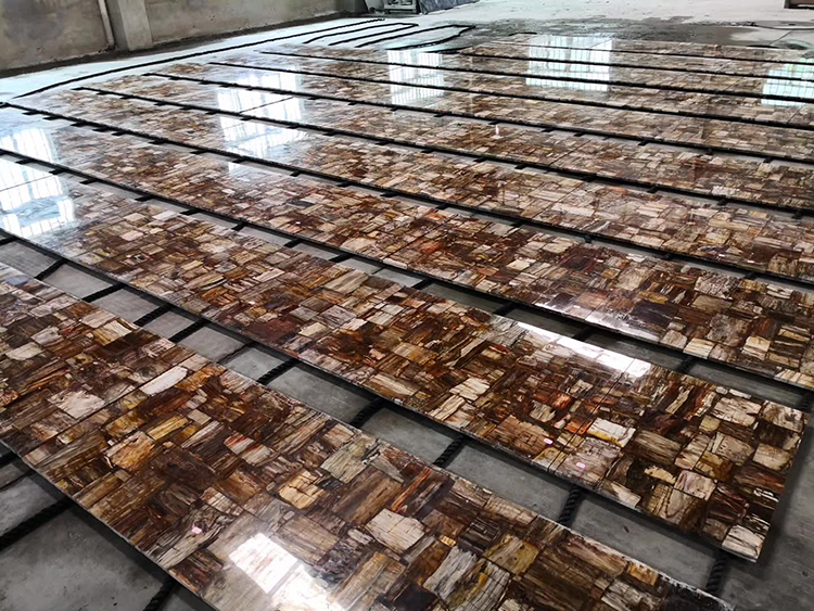 5I petrified wood slab