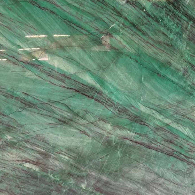 Interior wall decorating Exotic luxury stone botanic green quartzite