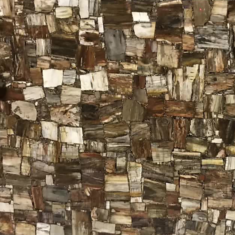 color petrified wood slab