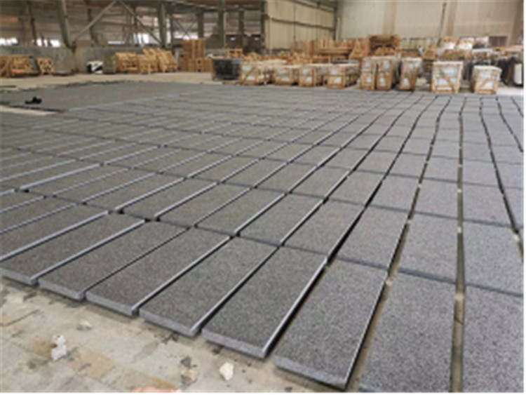 pure black granite2519